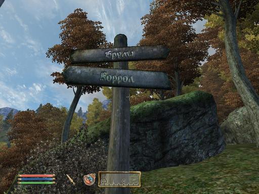 Elder Scrolls IV: Oblivion, The - Дневник имперского гастарбайтера. Том третий.